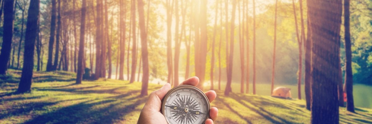 Hand man holding compass at larch forest with sunlight and shadows at sunrise with vintage scene.