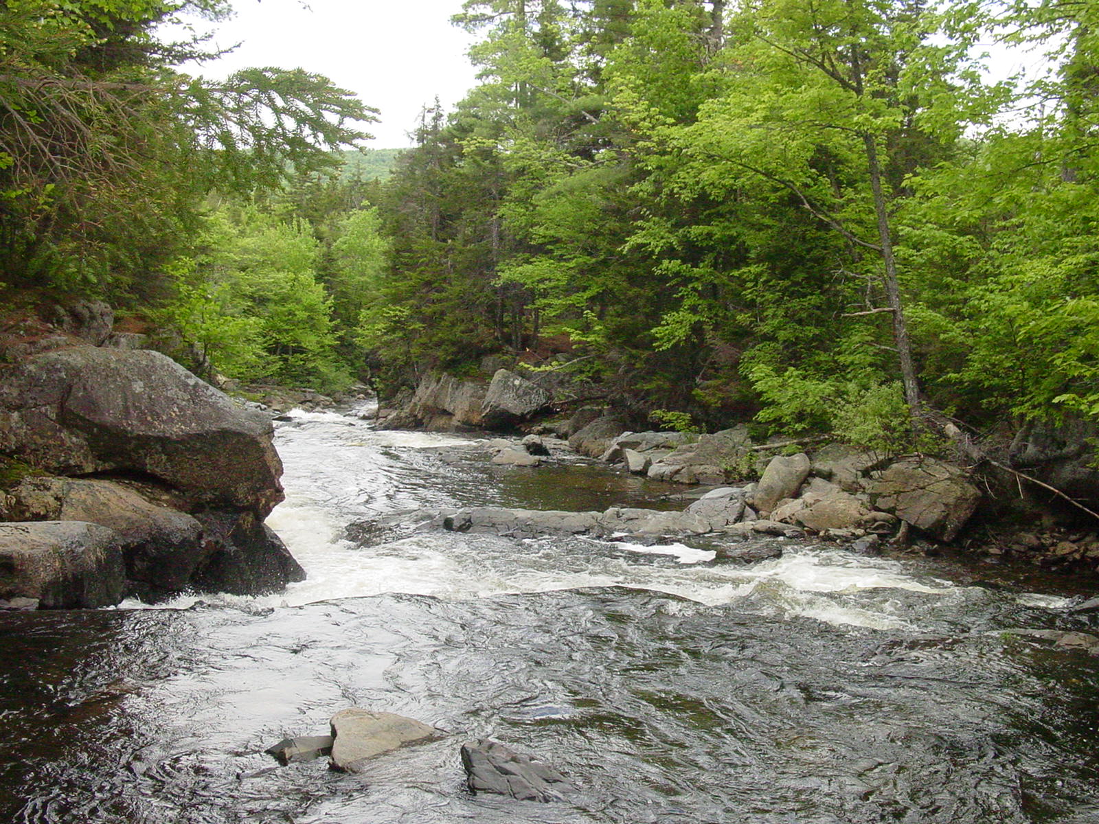 Recreational Leases Seven Islands Land Company