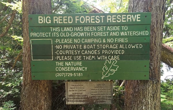 photo of sign on trees big reed forest reserve this land has been set aside to protect its old-growth forest and watershed