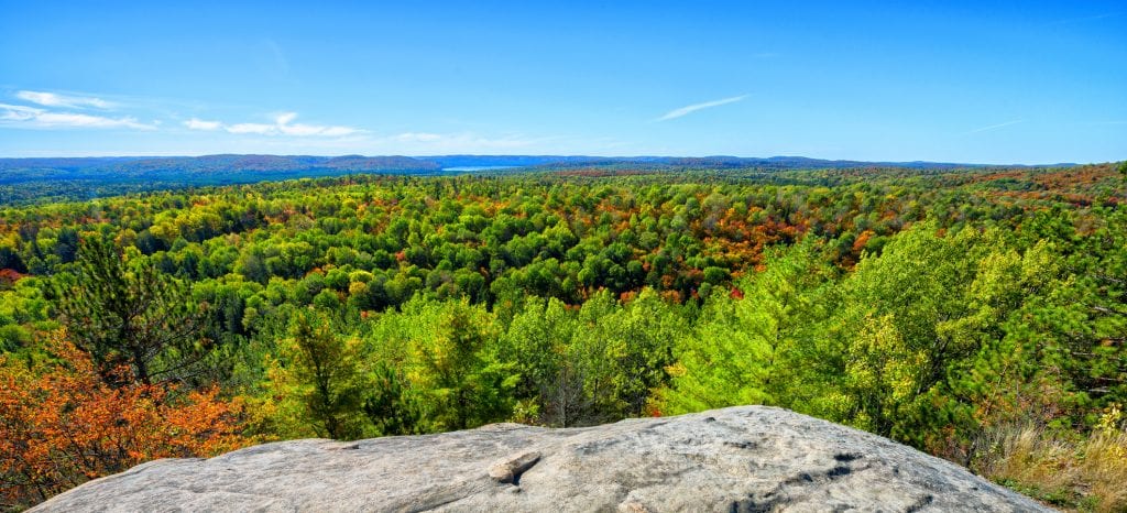 photo of forest in autumn from up high