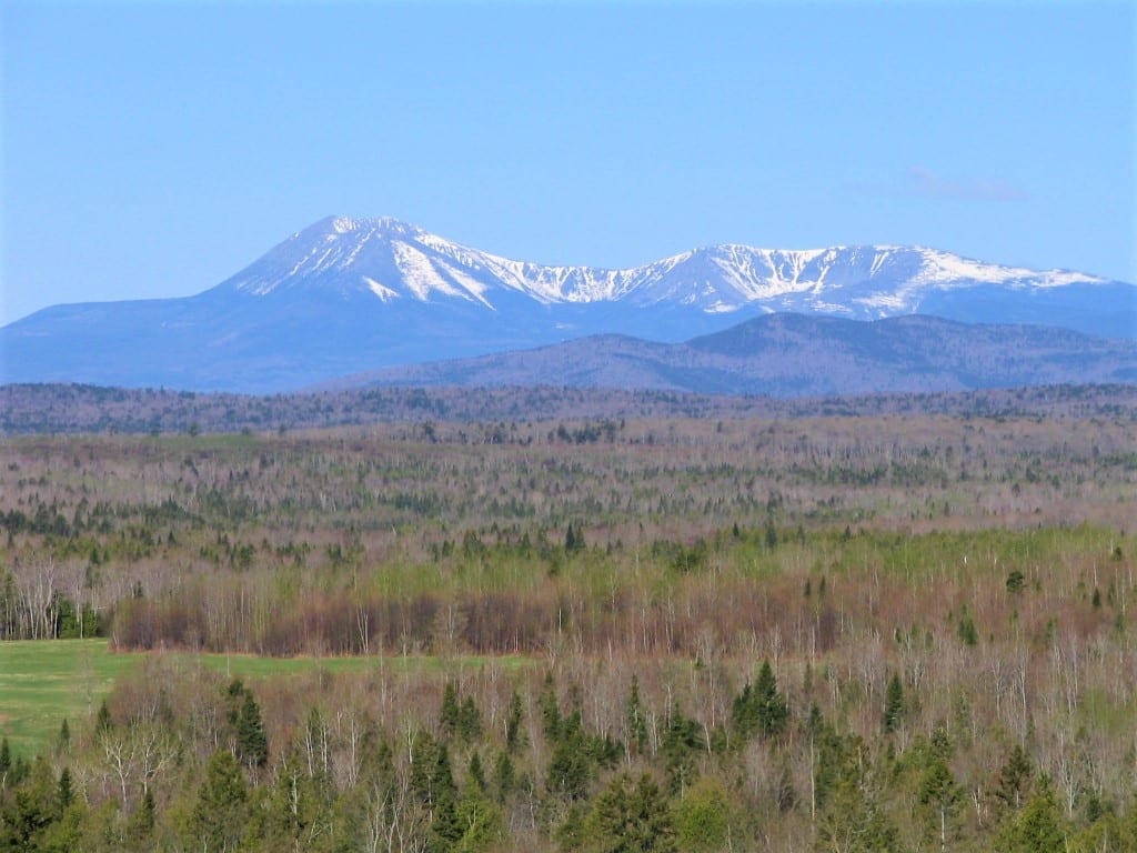 photo of maine forest with mount katahdin in the background