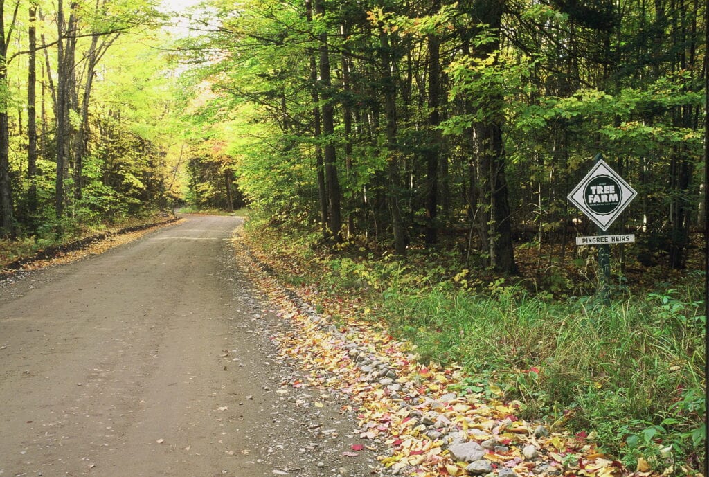 photo of pingree heirs tree farm sign along road in forest