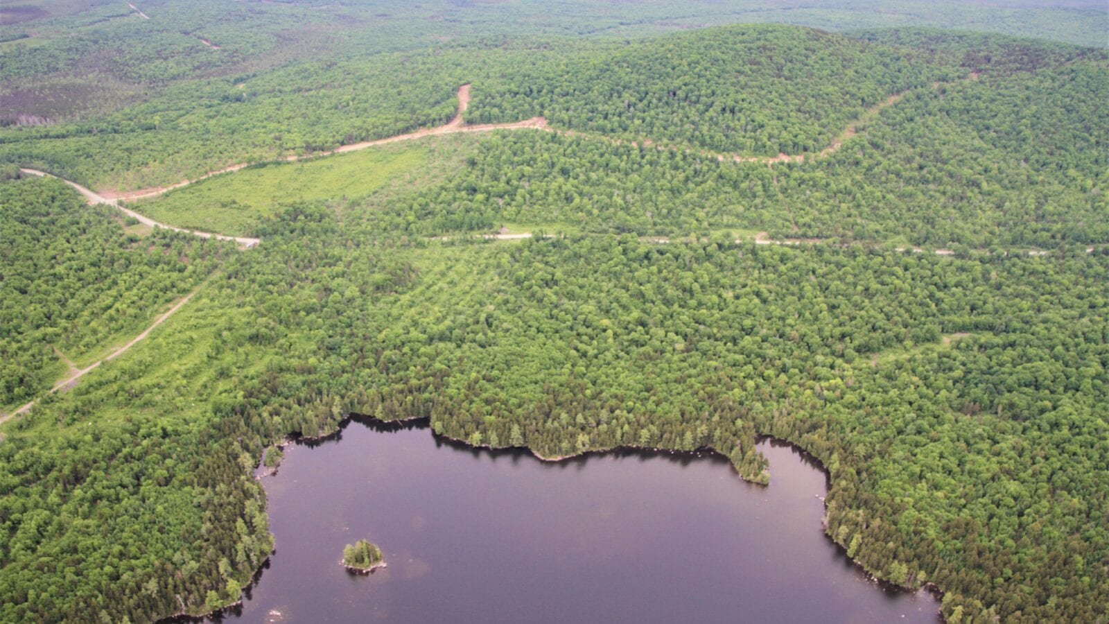 aerial photo of maine lake forest and logging roads