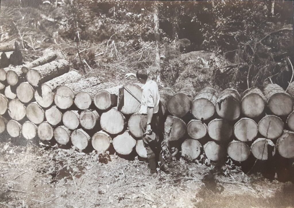 black and white photo of man standing next to stacked logs