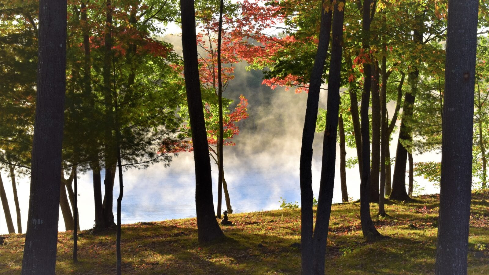 photo of sunrise fog on maine lake between the trees