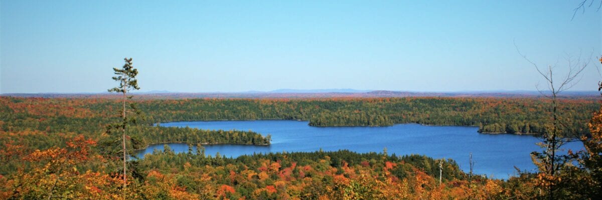 photo of lake and forest in autumn