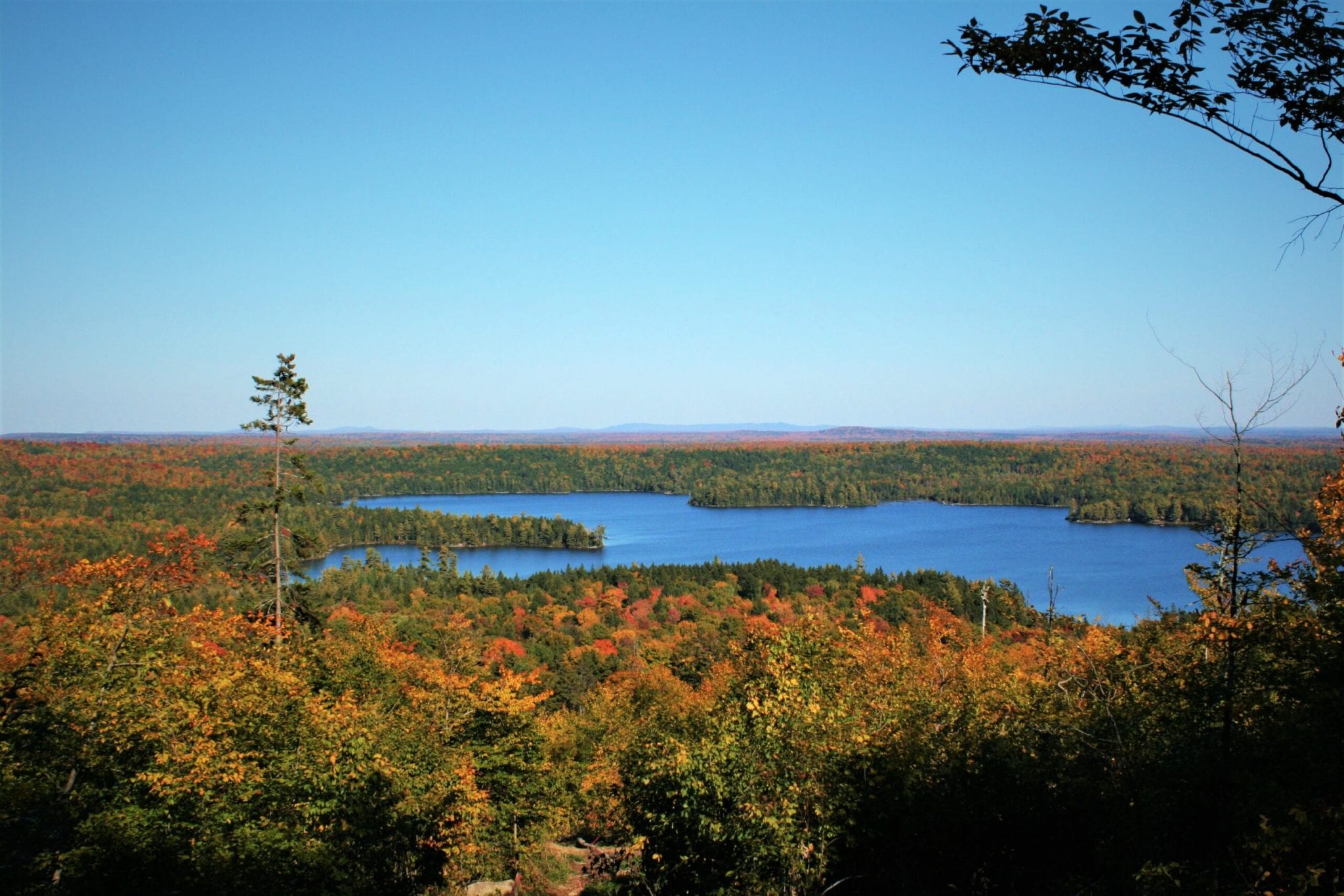 Certification Seven Islands Land Company