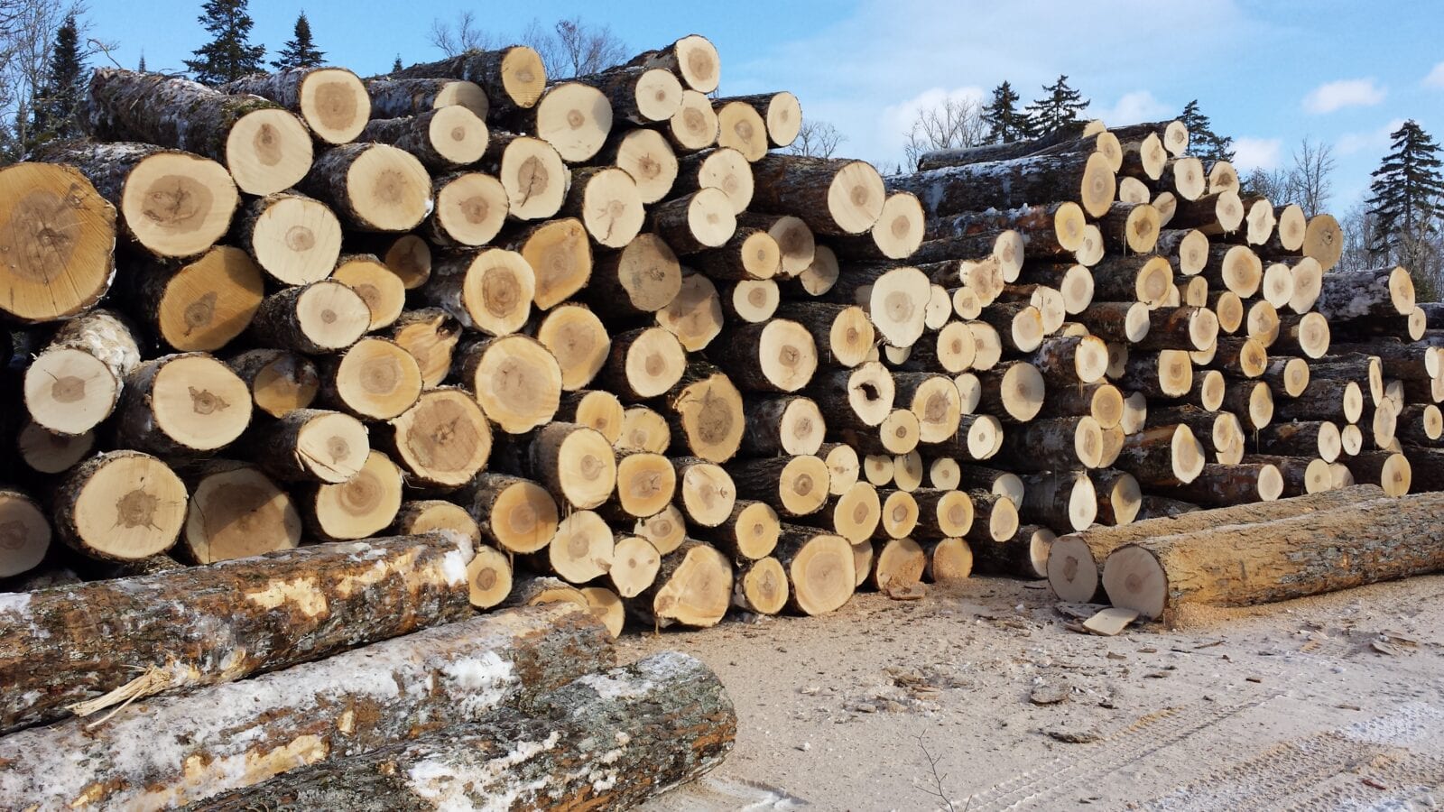 photo of log pile outdoors