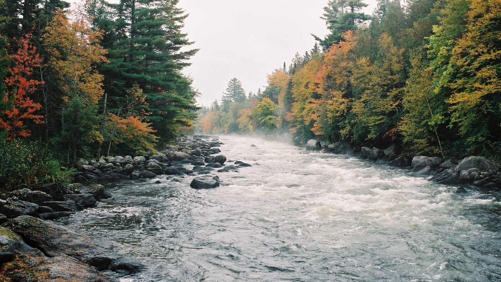 photo of river rapids in autumn