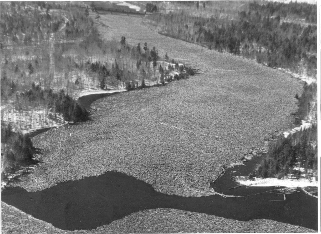 black and white photo of wood being transported downriver