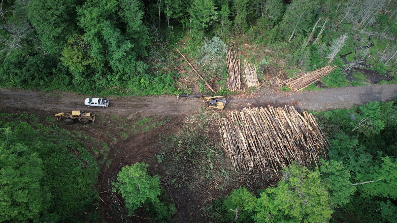 aerial photo of heavy equipment logging