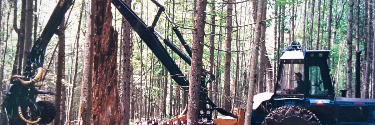 photo of heavy equipment logging in forest