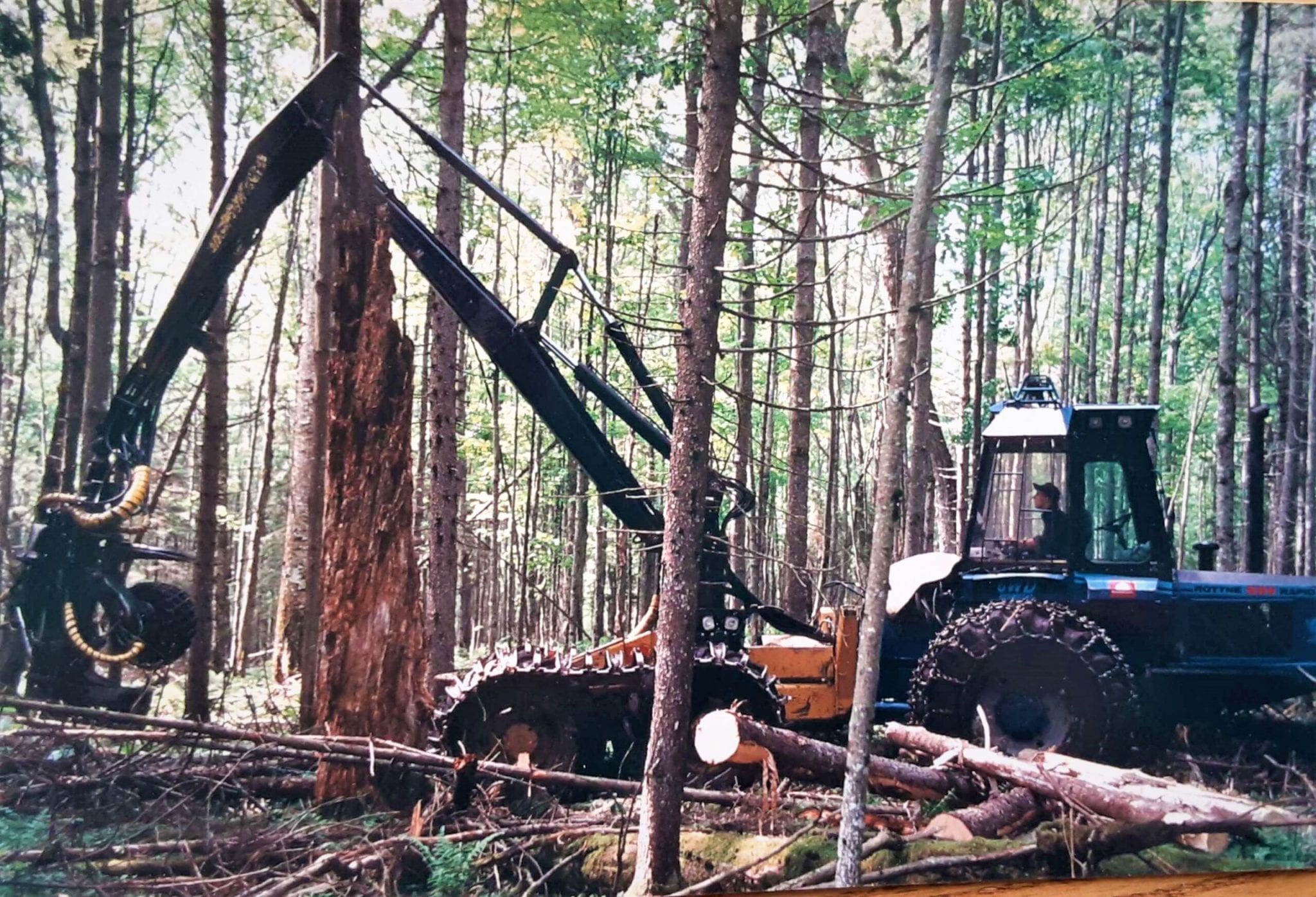 Working Forests Seven Islands Land Company