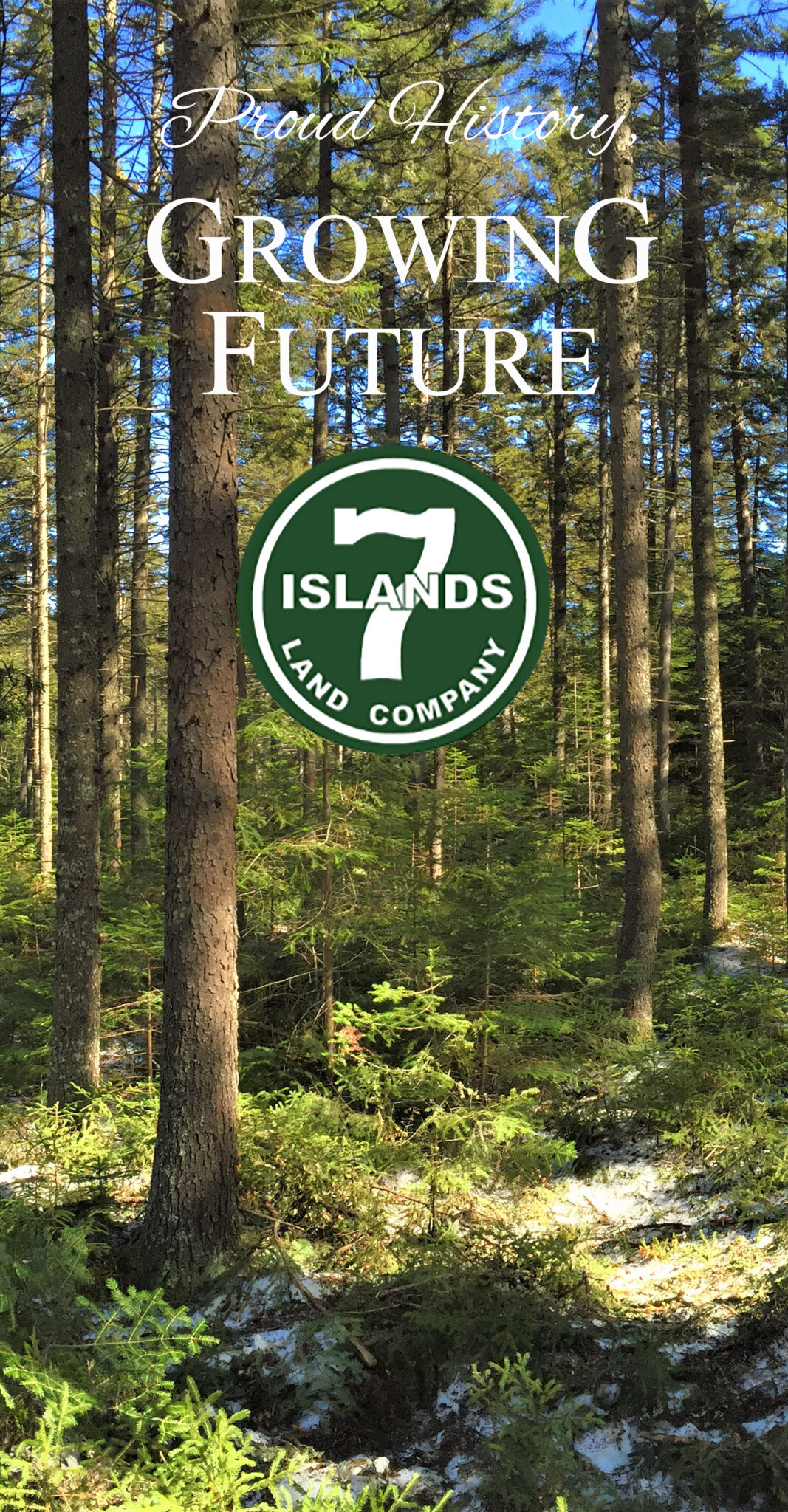 Summer Forest Technician Positions Seven Islands Land Company